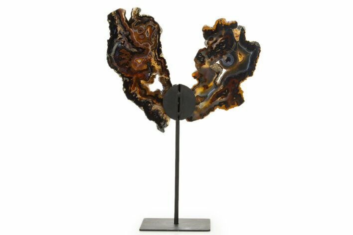 Agate Butterfly Wings - Brazil #322220